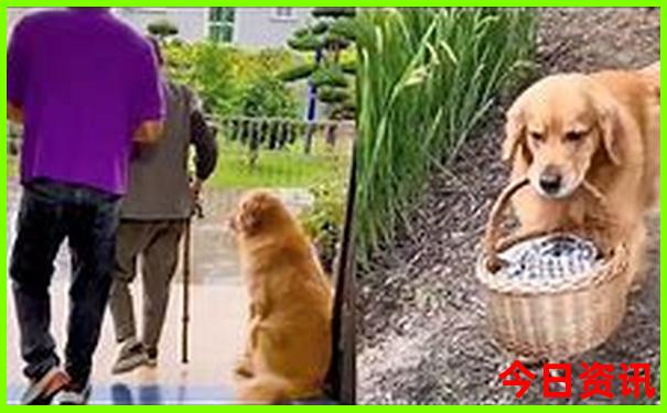 北京南边十大必去的景点